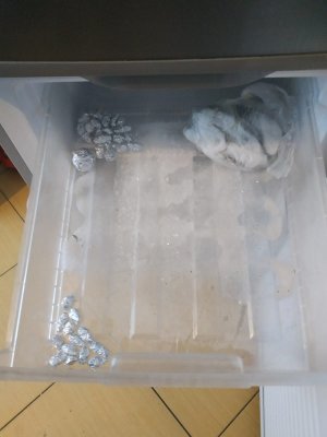 zawiniątka z białym proszkiem znalezione w lodówce