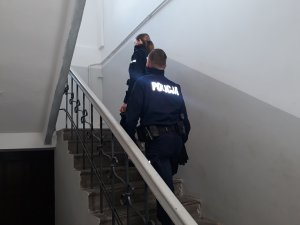 policjanci na klatce schodowej ida po schodach
